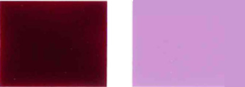 Pigment-voldelig-19-Color