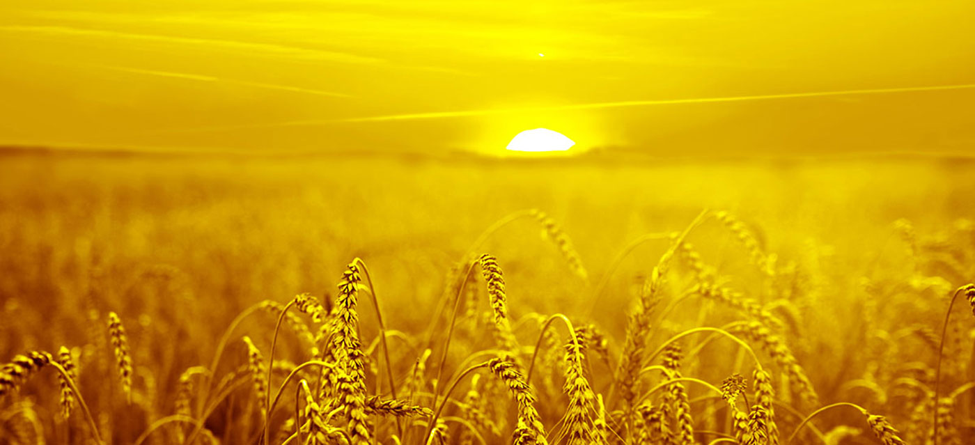 Vi kan godt lide at tilbyde farveløsninger